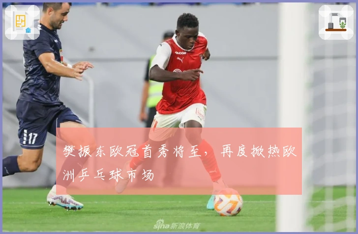 樊振东欧冠首秀将至，再度掀热欧洲乒乓球市场