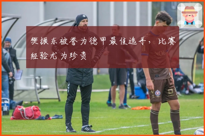 樊振东被誉为德甲最佳选手，比赛经验尤为珍贵