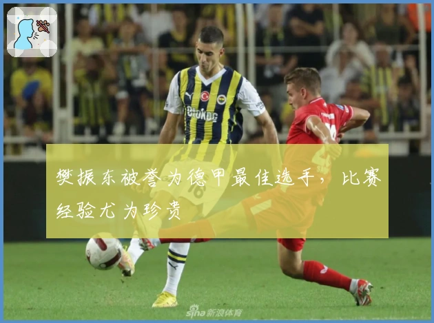 樊振东被誉为德甲最佳选手，比赛经验尤为珍贵