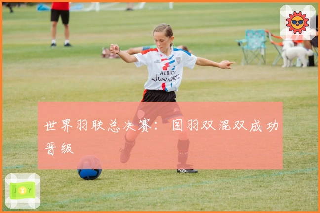 世界羽联总决赛：国羽双混双成功晋级