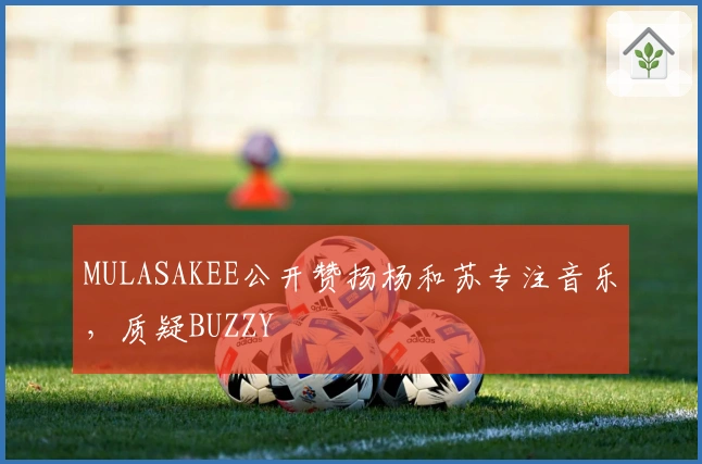 MULASAKEE公开赞扬杨和苏专注音乐，质疑BUZZY
